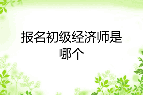 报名初级经济师是哪个