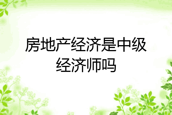 房地产经济是中级经济师吗