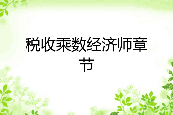 税收乘数经济师章节