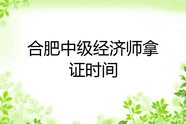 合肥中级经济师拿证时间