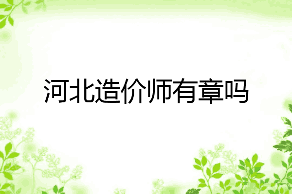 河北造价师有章吗