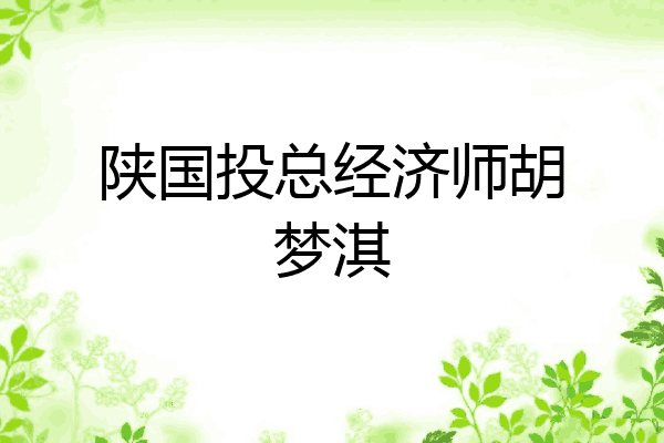 陕国投总经济师胡梦淇