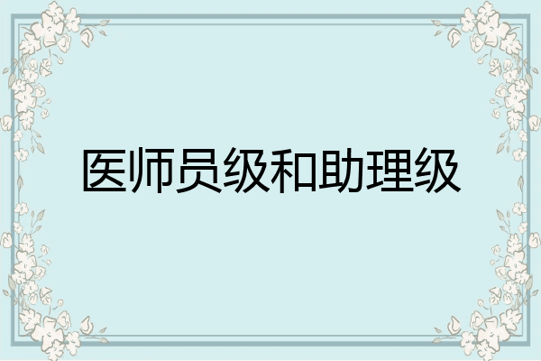 医师员级和助理级