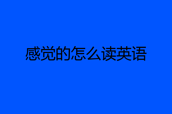 感觉的怎么读英语