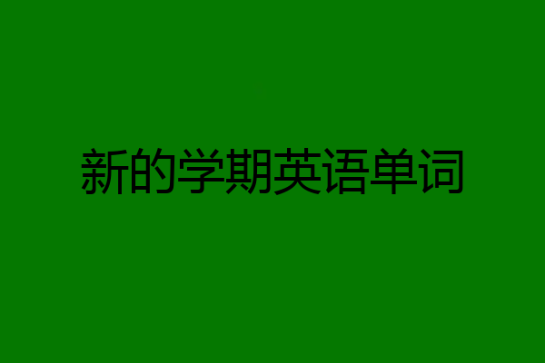 新的学期英语单词