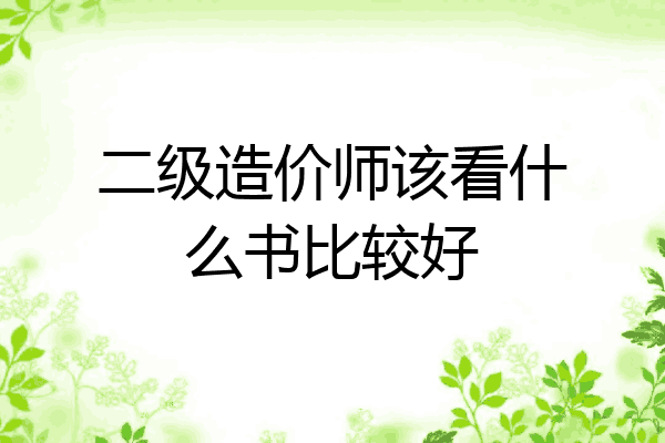 二级造价师该看什么书比较好