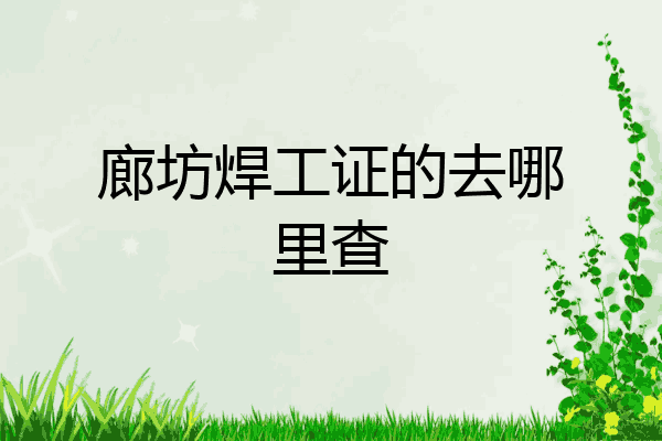 廊坊焊工证的去哪里查