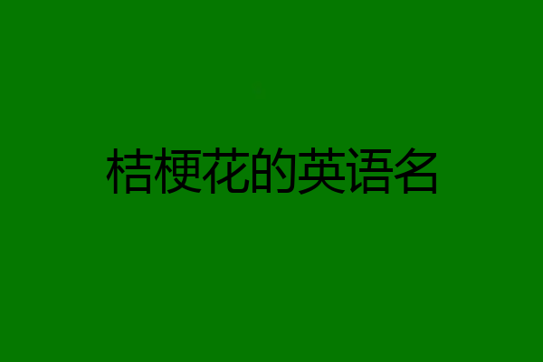 桔梗花的英语名