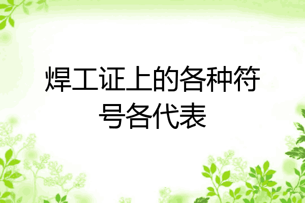 焊工证上的各种符号各代表