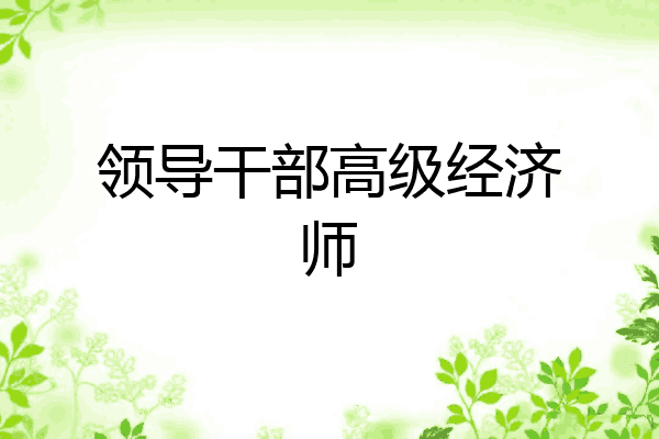 领导干部高级经济师