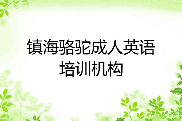 镇海骆驼成人英语培训机构