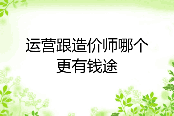 运营跟造价师哪个更有钱途