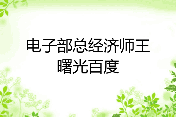 电子部总经济师王曙光百度
