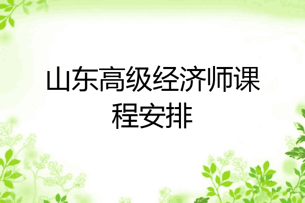 山东高级经济师课程安排