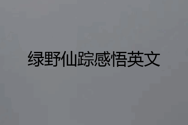 绿野仙踪感悟英文