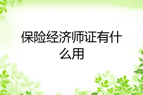 保险经济师证有什么用
