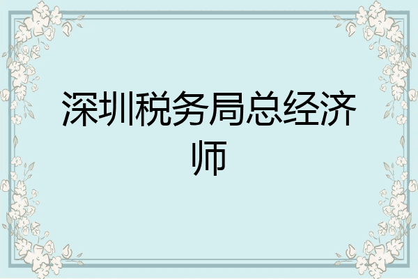 深圳税务局总经济师