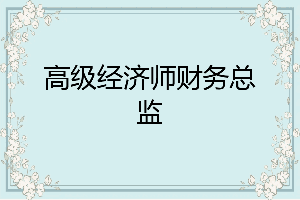 高级经济师财务总监
