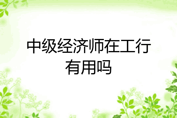 中级经济师在工行有用吗