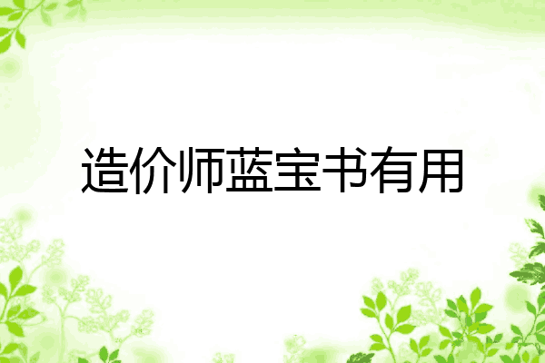 造价师蓝宝书有用