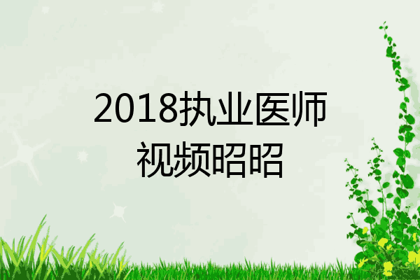 2018执业医师视频昭昭