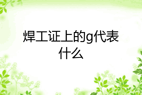 焊工证上的g代表什么