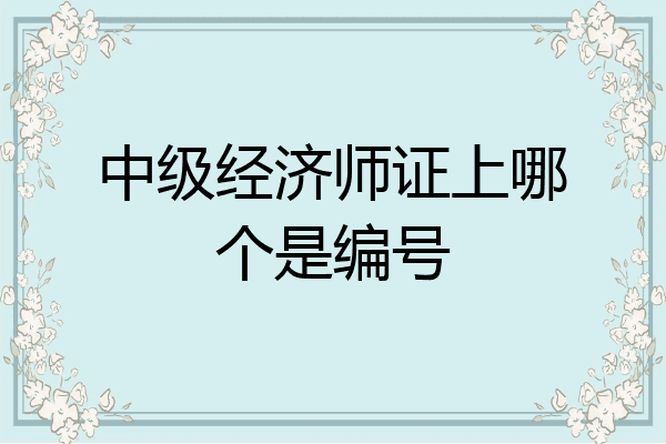 中级经济师证上哪个是编号