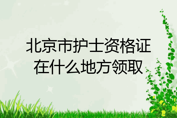 北京市护士资格证在什么地方领取