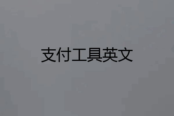 支付工具英文