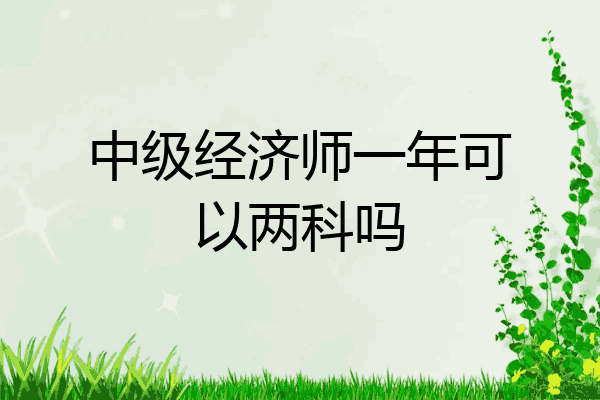 中级经济师一年可以两科吗
