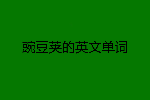 豌豆荚的英文单词