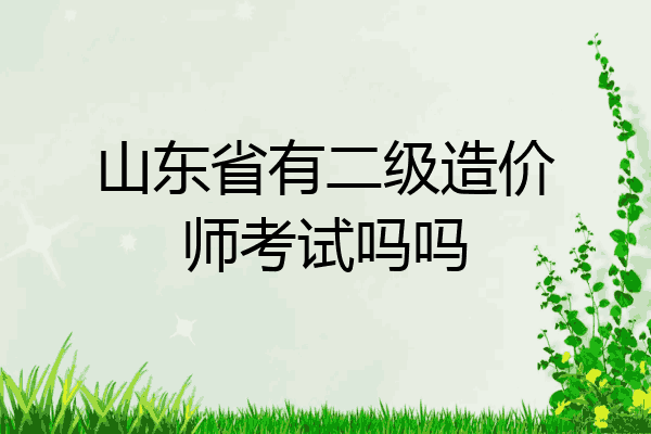 山东省有二级造价师考试吗吗