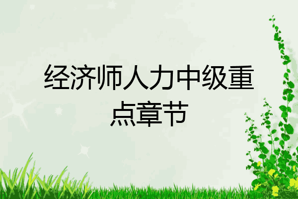 经济师人力中级重点章节