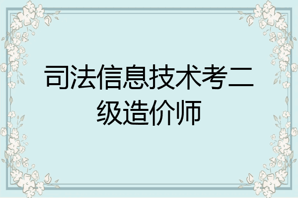 司法信息技术考二级造价师