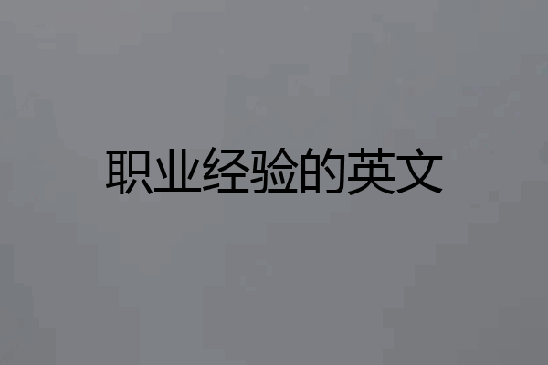 职业经验的英文
