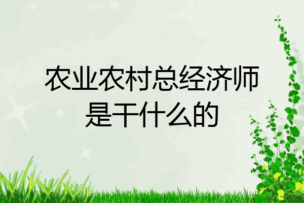 农业农村总经济师是干什么的