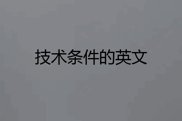 技术条件的英文