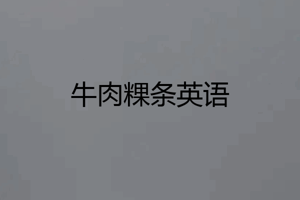牛肉粿条英语