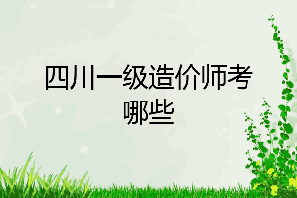 四川一级造价师考哪些