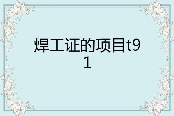 焊工证的项目t91