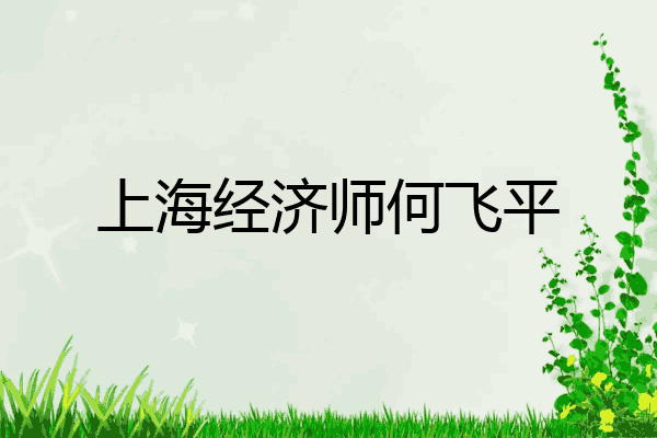 上海经济师何飞平