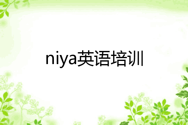 niya英语培训