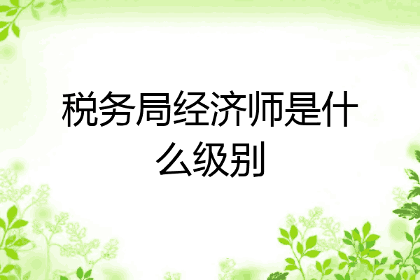 税务局经济师是什么级别