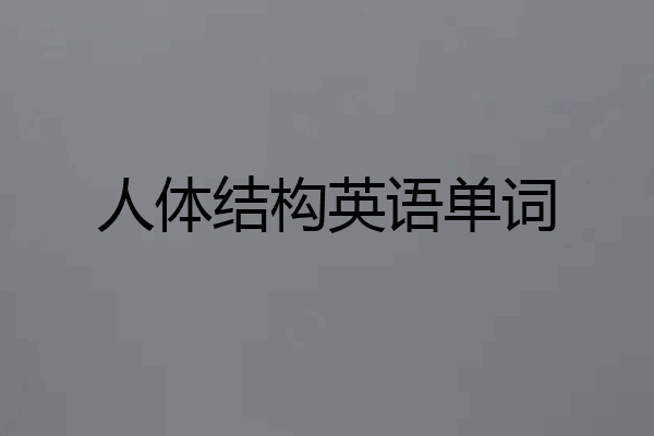 人体结构英语单词