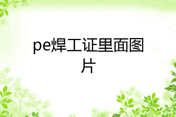 pe焊工证里面图片