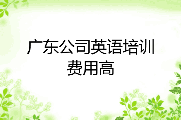 广东公司英语培训费用高