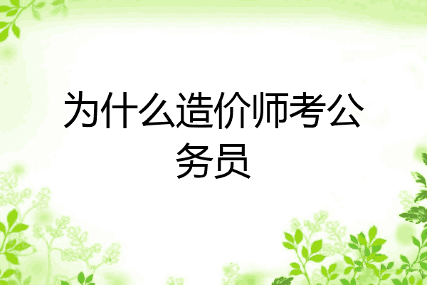 为什么造价师考公务员