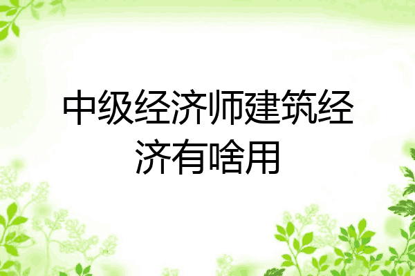 中级经济师建筑经济有啥用