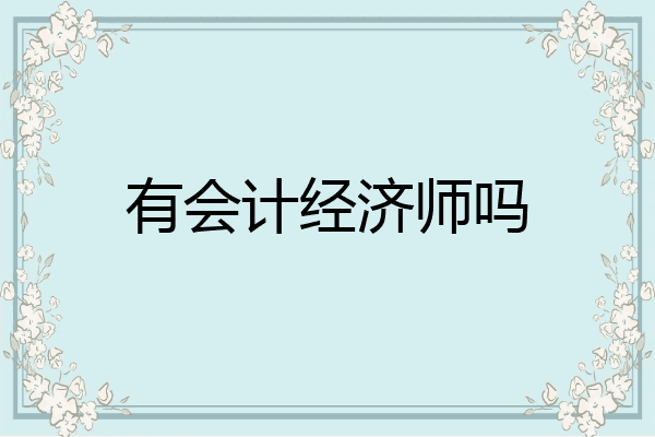 有会计经济师吗