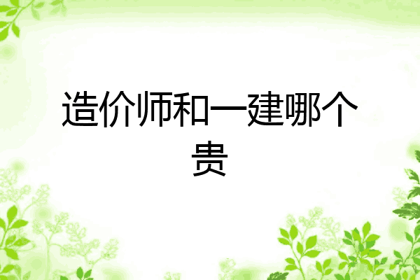 造价师和一建哪个贵